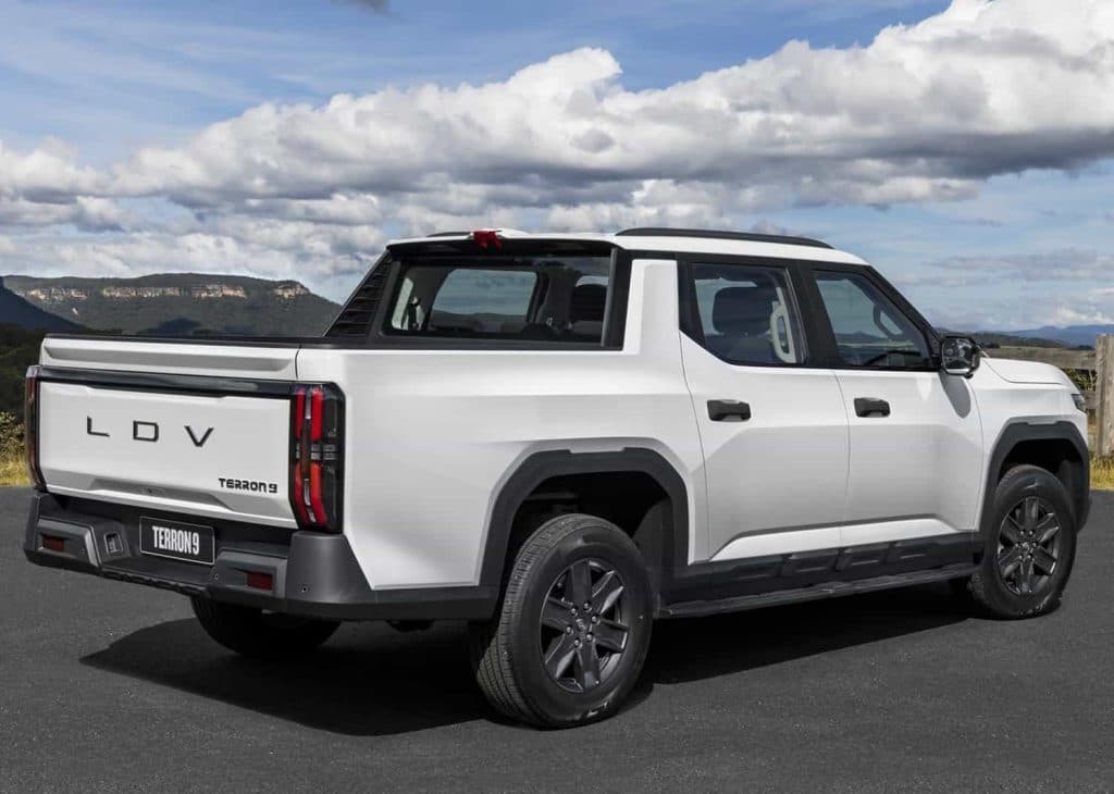 LDV Terron 9
